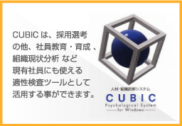 CUBICは、採用選考の他、社員教育・育成、組織現状分析など現有社員にも使える適性検査ツールとして活用する事ができます。