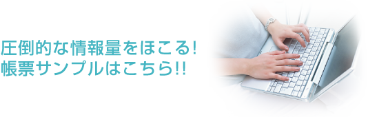 圧倒的な情報量をほこる!帳票サンプルはこちら!!