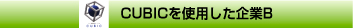 CUBICを使用した企業B