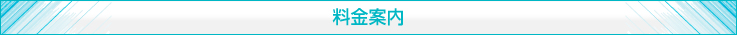 適性検査 CUBIC　料金案内