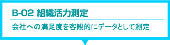 適性検査 CUBIC　B-02 組織活力測定