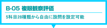 適性検査 CUBIC　B-05 複眼観察評価