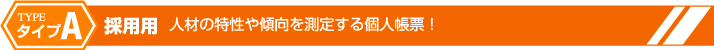 適性検査 CUBIC　タイプA 採用用 人材の特性や傾向を測定する個人帳票!