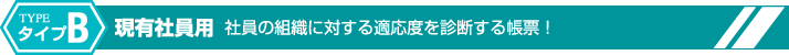 適性検査 CUBIC　タイプB 現有社員用 社員の組織に対する適応度を診断する帳票!