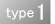 type1