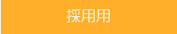 採用用