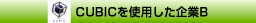 CUBICを使用した企業B