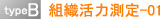 typeB 組織活力測定-01