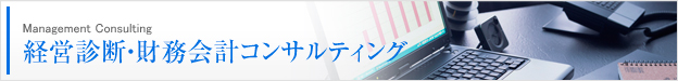 経営診断・財務診断コンサルティング